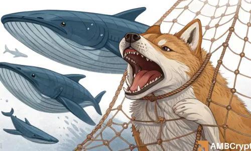 柴犬币(SHIB)能否在9月迎来突破性上涨?巨鲸囤积引发市场关注