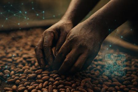 链上劳动证明：Fedrok AG 在加纳可可供应链中试点