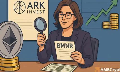 ARK Invest再投1560万美元增持BMNR 股价逆势下跌7%