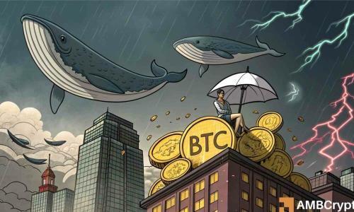比特币面临关键节点:鲸鱼抛售4.38亿美元BTC,机构需求却达供应量六倍