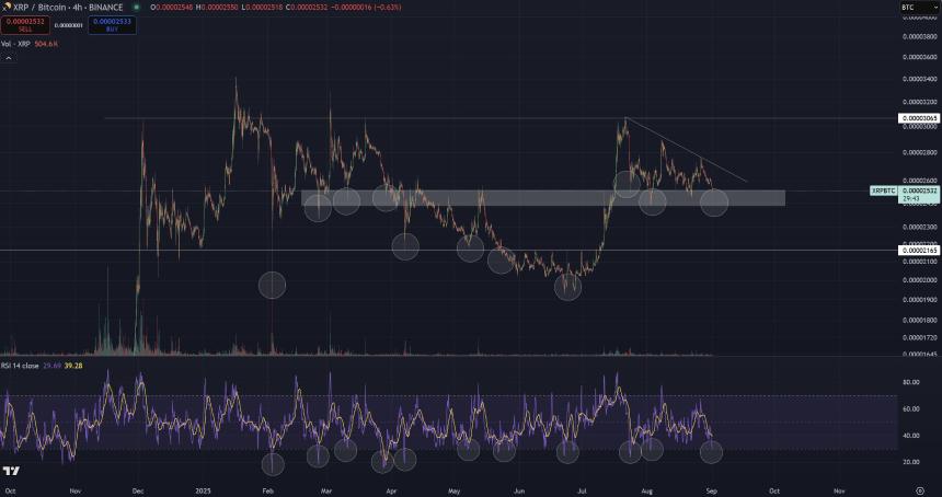 XRP Against Bitcoin CryptoInsightUK