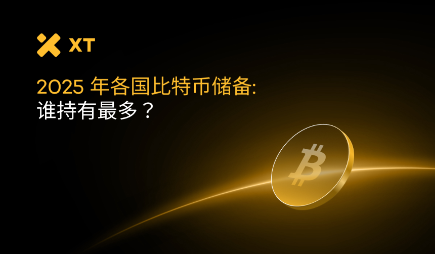 国家比特币储备：2025年主要持有者揭晓