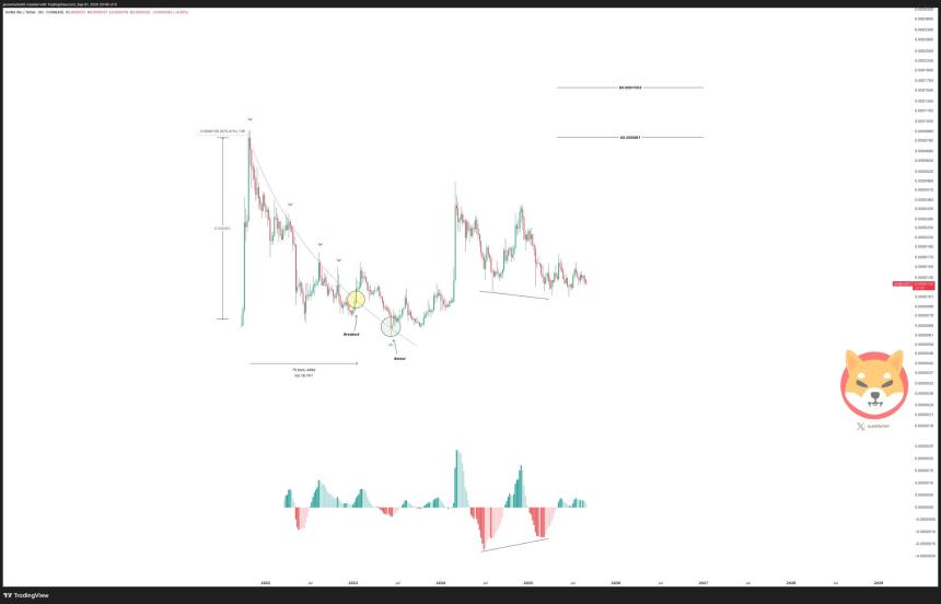 Shiba Inu path to $0000081