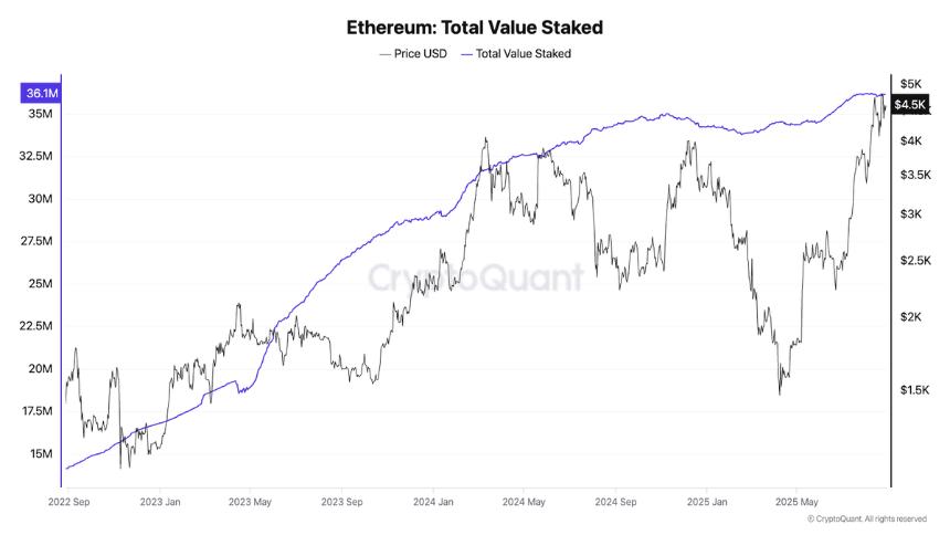 5000亿美元市值的以太坊：ETH持仓分布全解析
