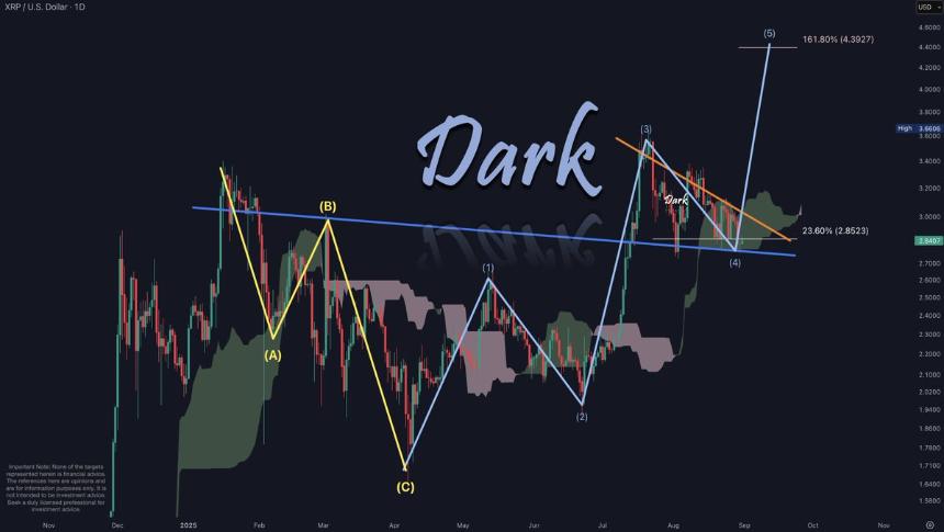 Dark Defender XRP daily chart