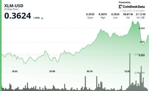 XLM短时飙升5%后遭遇尾盘急跌，收盘微涨1%