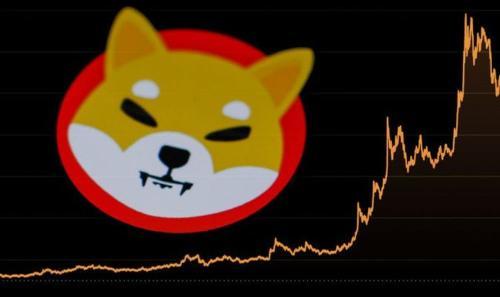 柴犬价格预测:资深投资者看好涨幅达17倍至0.00023美元