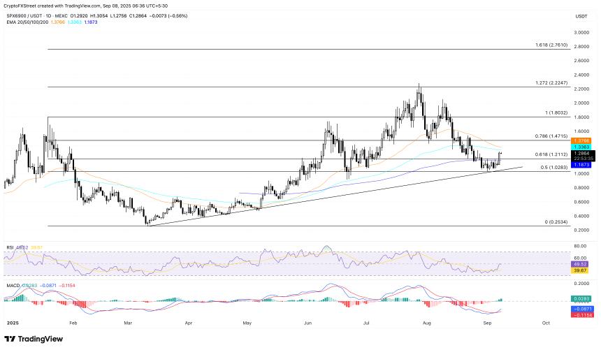 加密货币涨幅最大:SPX6900、Worldcoin 延续涨势,Pump.fun 遭遇阻力