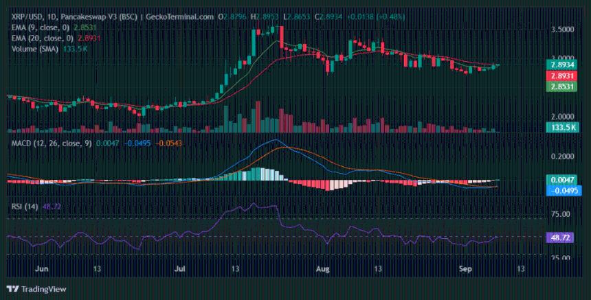 XRP价格走势分析:若跌破2.94美元关口或将迎来突破