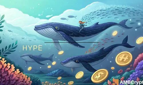 鲸鱼增持推动Hyperliquid价格攀升，HYPE或迎历史新高
