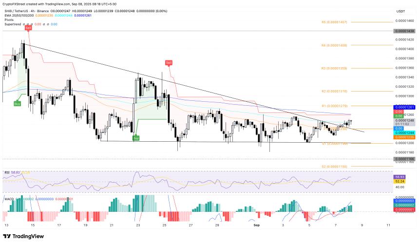 Meme Coins 价格预测：狗狗币、柴犬币和佩佩币即将上涨