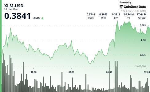 <span class='keyword'>恒星币</span><span class='keyword'>XLM</span>代币上涨4%，机构投资者兴趣推动市场活跃