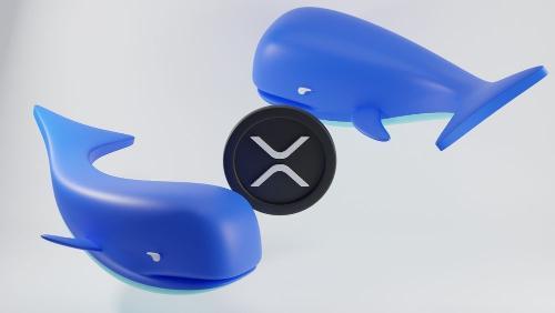 鲸鱼逢低增持推动 XRP 上涨,Ripple 有望助力 SWIFT 实现实时结算革新