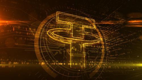 Tether超越多数比特币ET<span class='keyword'>F</span>，今年增持超27,000枚BTC，总储备突破10万枚