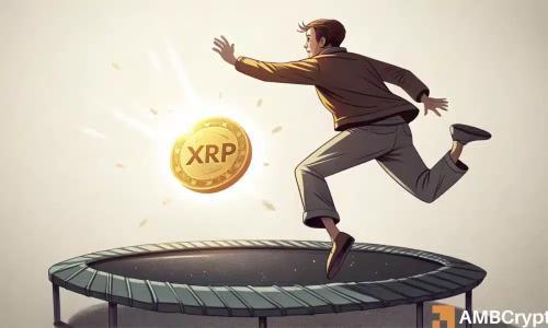 XRP价格今日上涨:投资者为何如此兴奋?三大原因解析
