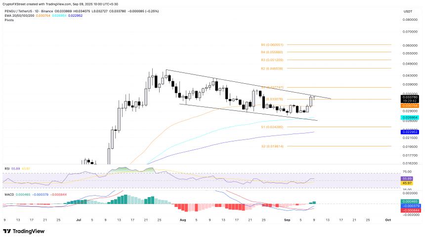 基于 Solana 的 meme 币 PENGU、FARTCOIN 和 BONK 在看涨势头中瞄准关键突破