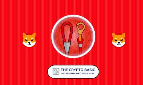 Shiba Inu 宣布 LEASH V2 迁移计划:分阶段上线并完成全面审计