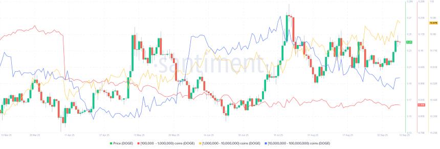 狗狗币价格预测:DOJE ETF 即将推出