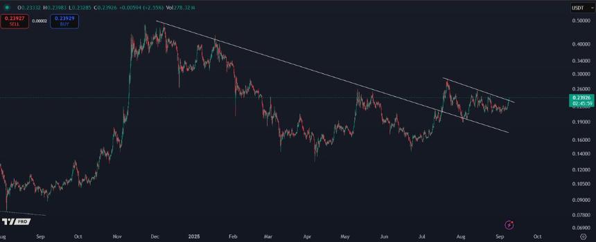 A line chart displaying Dogecoin price movements over time. The chart shows a downward trend with a descending trendline, red and green candlesticks, and price levels marked on the y-axis ranging from 0.0000 to 0.5000. A watermark from TradingView is visible.