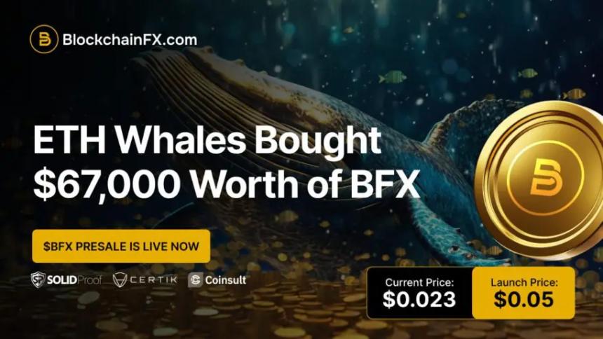 BlockchainFX预售价格翻倍，Tapzi与Ozak AI紧随其后