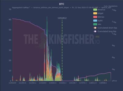 比特币交易员大举押注九位数看涨期权，清算风险显著上升