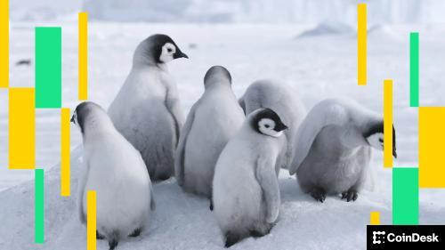 加密货币市场最新动态：比特币价格回调，PENGU持仓量创历史新高