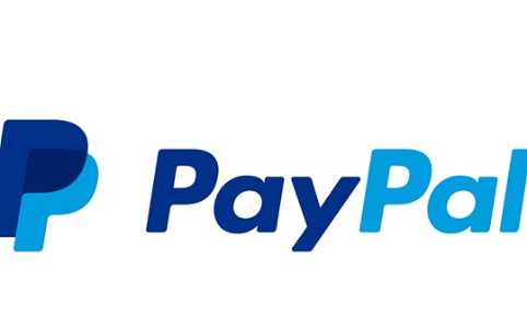 Pay<span class='keyword'>Pal</span>为何全力争夺稳定币发行权？