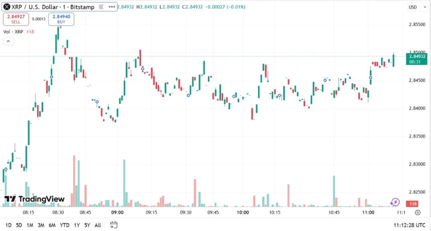 从1,000美元到七位数收益：Ripple (XRP) 遇冷，Little Pepe（LILPEPE）成加密市场新焦点