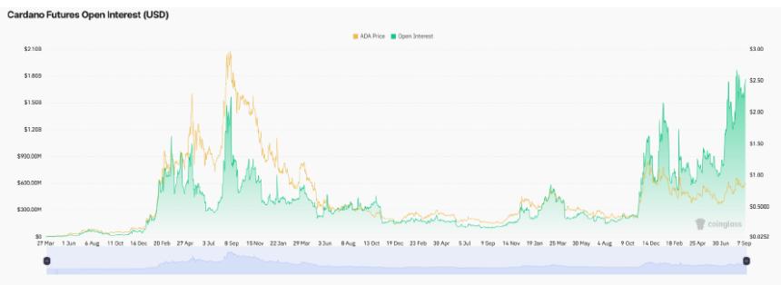 卡尔达诺未来上涨的四大驱动因素：2025年或将迎来突破性增长
