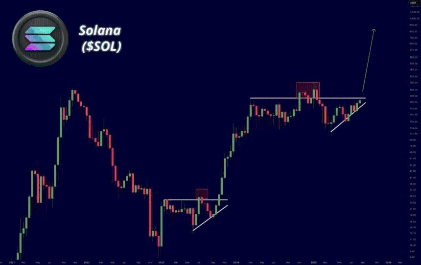 Solana价格本周期能达到1000美元吗?