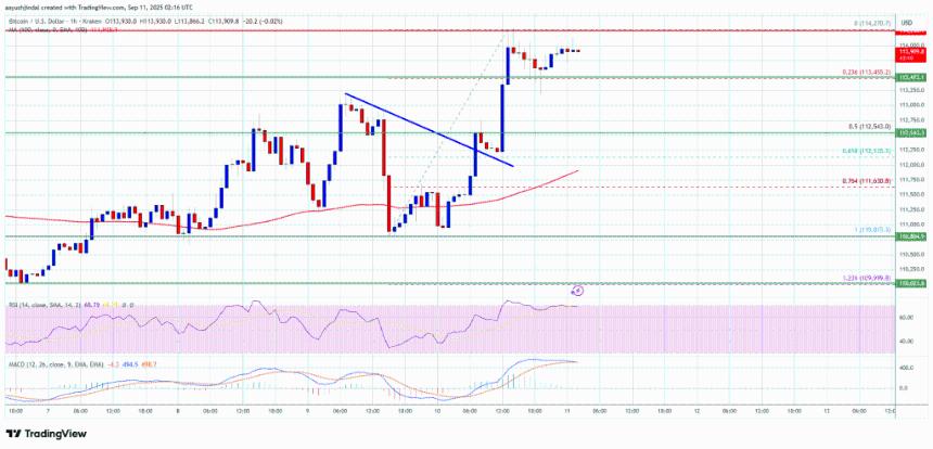 比特币复苏势头增强——BTC 能否将势头转化为反弹？