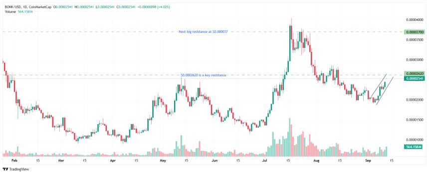  纳斯达克上市公司 Safety Shot 成立专注于财务的子公司 BONK memecoin 
