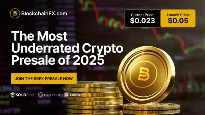 2025年加密货币市场前瞻:Bonk增长乏力,BlockchainFX成预售黑马