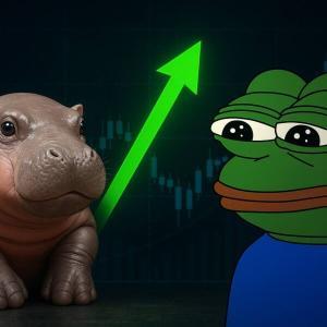 <span class='keyword'>M</span>oodeng与Pepe Crypto掀起Memecoins热潮：市场新焦点