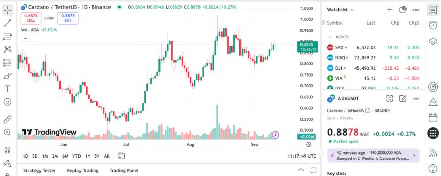 Pi Network动态、Cardano价格走势分析及9月最佳加密货币推荐