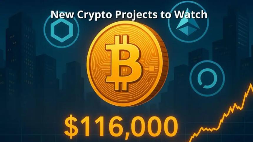 比特币飙升至11.6万美元，传统金融加速布局加密市场，新兴山寨币引发关注