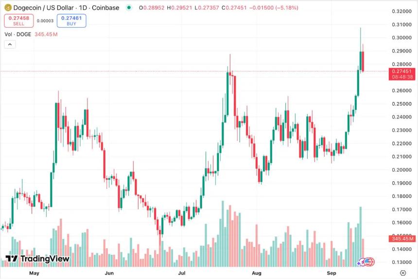  Rollblock 位居加密货币趋势榜首，ADA、DOGE 和 PEPE 分别位列第二、第三和第四 