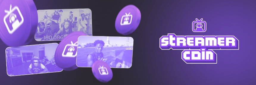 STREAMER项目介绍