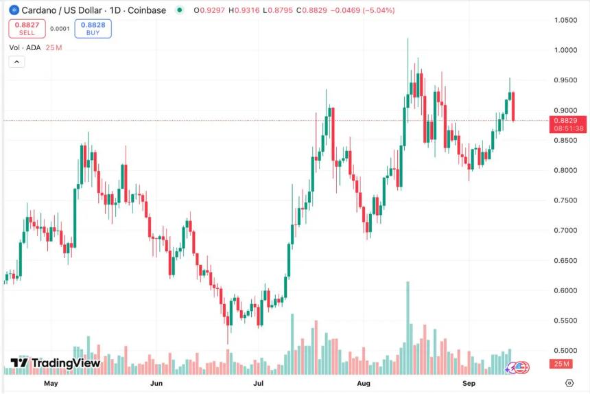  Rollblock 位居加密货币趋势榜首，ADA、DOGE 和 PEPE 分别位列第二、第三和第四 