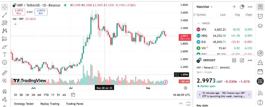 Remittix 被誉为“XRP 2.0”：Ripple 新闻与 XRP 价格预测