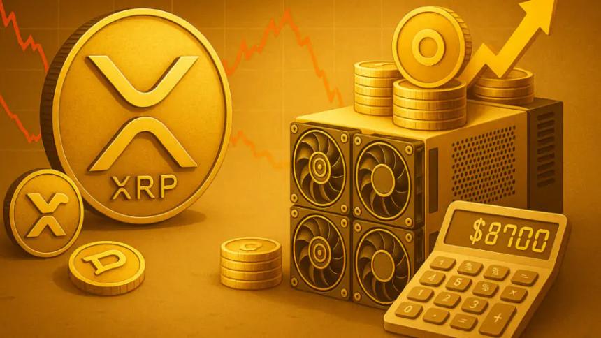 XRP巨鲸抛售4000万枚代币，投资者将目光转向DOT矿工新机遇