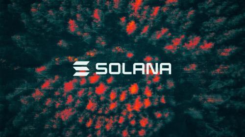 Pantera Capital创始人：Solana是公司最大加密货币押注，持有价值达11亿美元