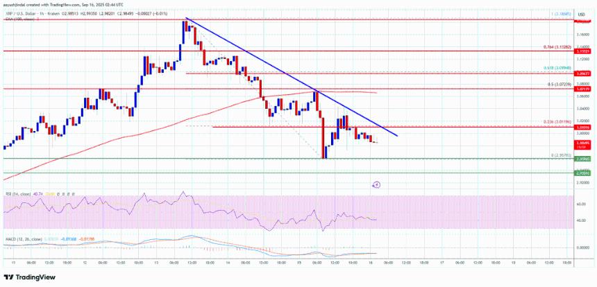  XRP 价格跌破 3 美元 – 多头能否快速反弹？ 