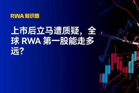 全球RWA第一股上市即遭质疑，DAT能否成为加密投资新趋势？