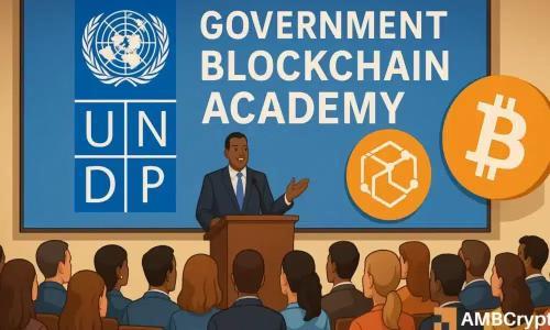 联合国开发计划署推出政府区块链学院：助力全球数字化转型