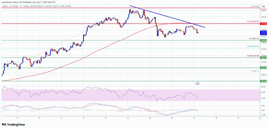  Solana（SOL）保持近期涨幅——再次飙升前的关键水平 