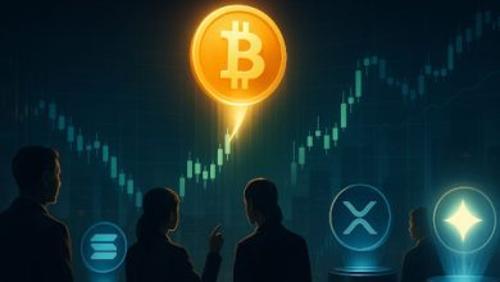 IMOV - Upcoming Partnership