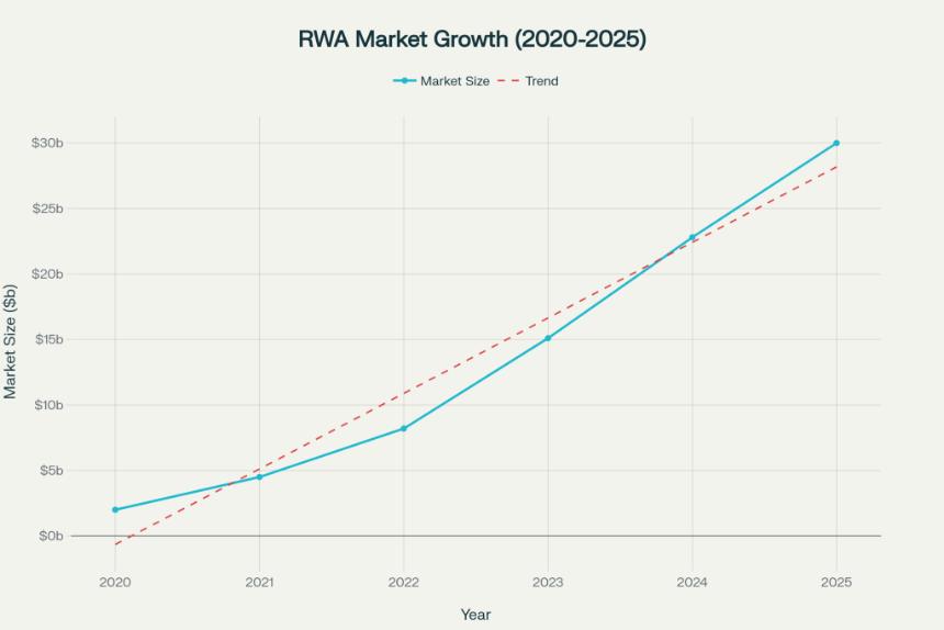  顶级现实世界资产（RWA）项目 