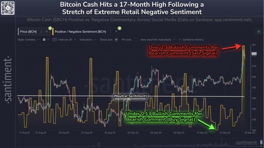 比特币现金（BCH）因社交媒体炒作过度回调 6.7%，市场情绪或将逆转