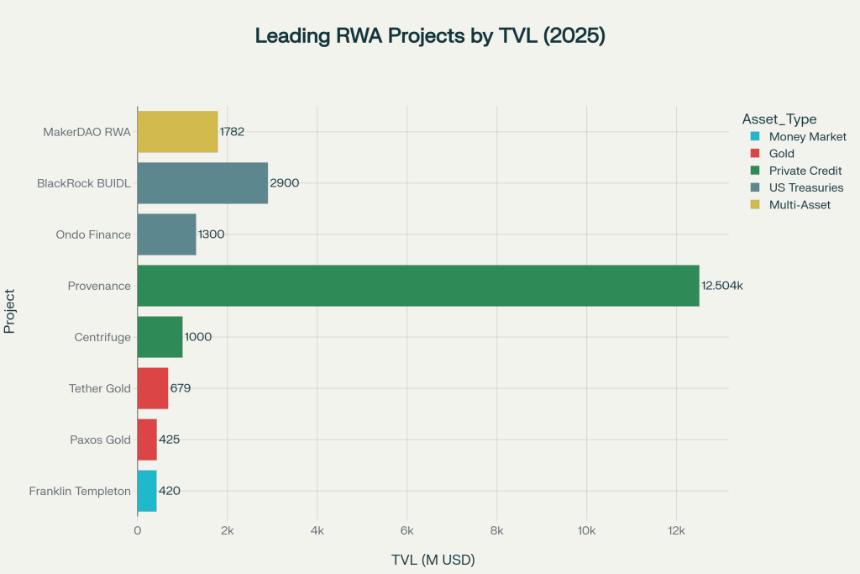 顶级现实世界资产（RWA）项目 